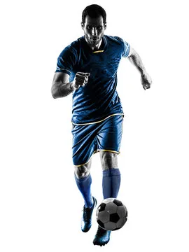 平博体育 主要标志